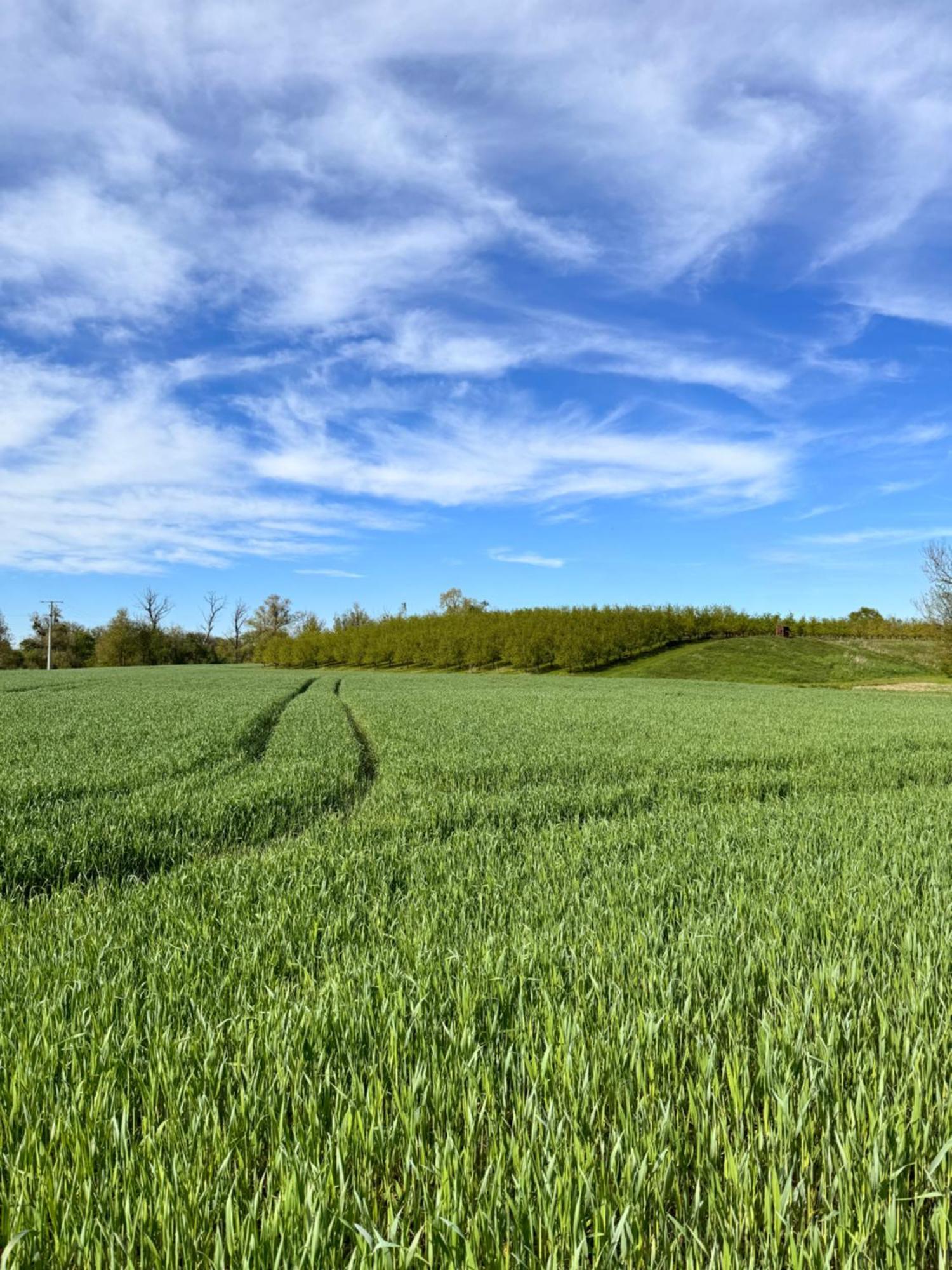 Am Flussgarten Eriskirch Esterno foto