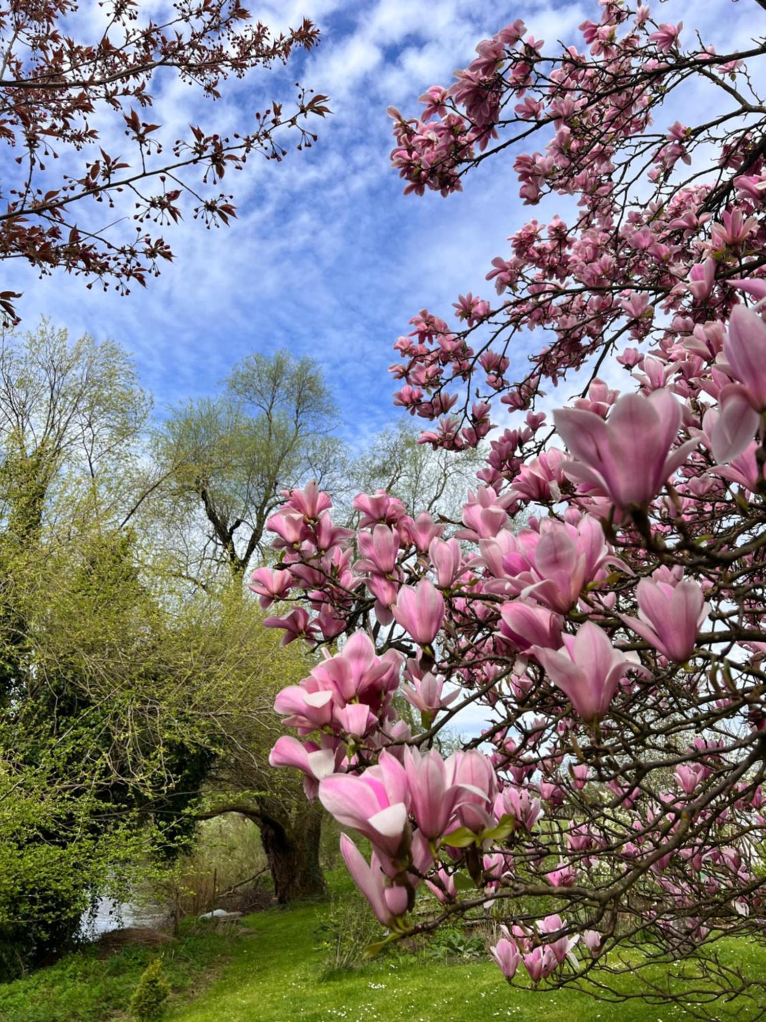 Am Flussgarten Eriskirch Esterno foto