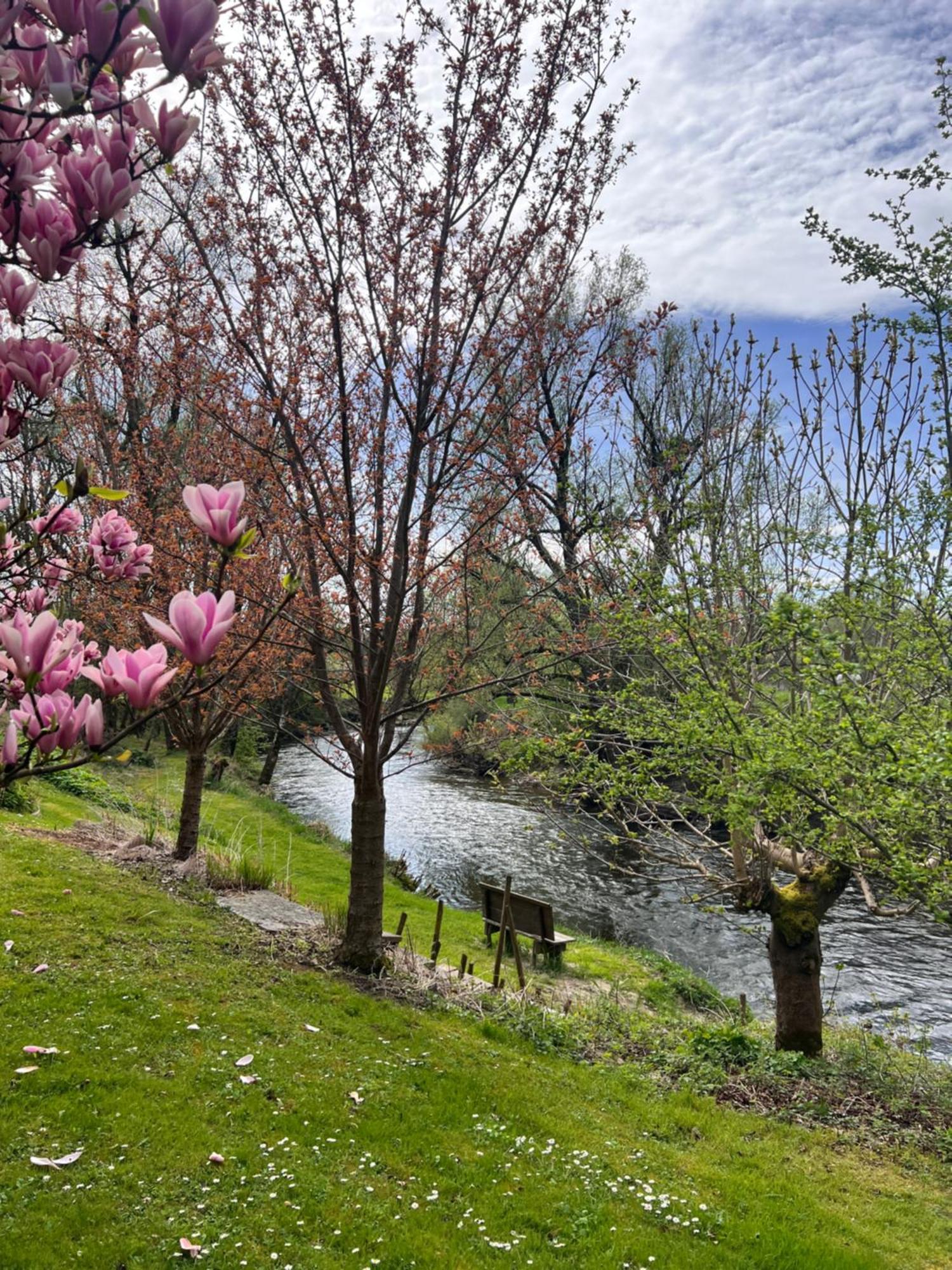 Am Flussgarten Eriskirch Esterno foto