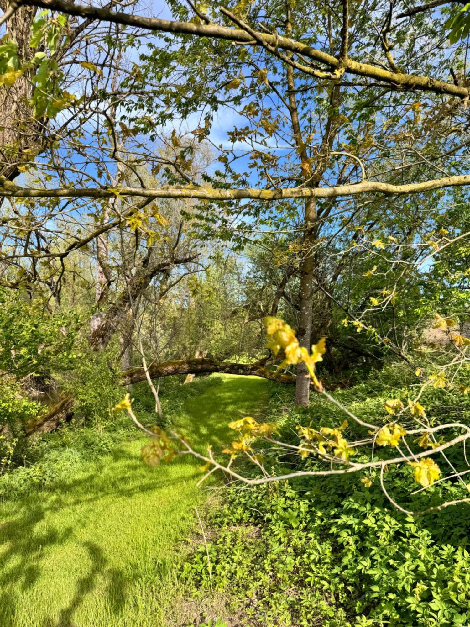 Am Flussgarten Eriskirch Esterno foto