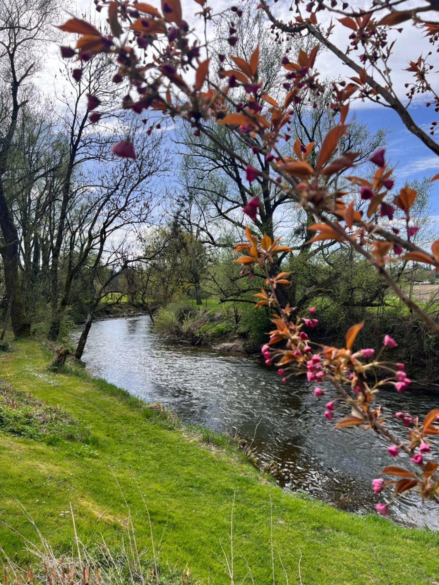 Am Flussgarten Eriskirch Esterno foto