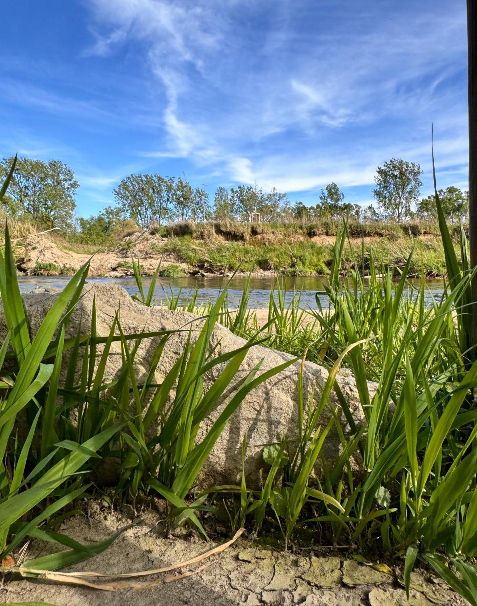 Am Flussgarten Eriskirch Esterno foto
