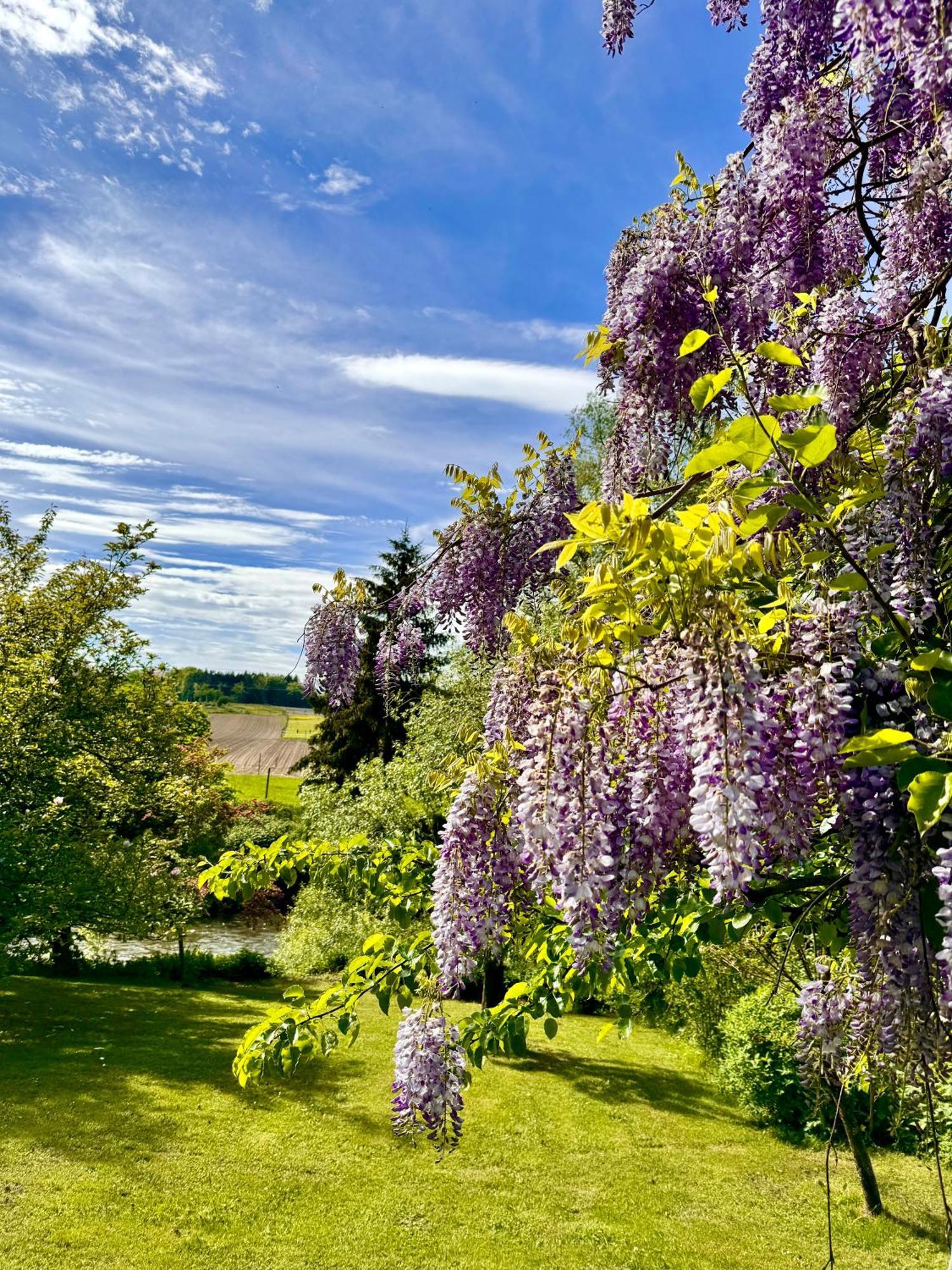 Am Flussgarten Eriskirch Esterno foto