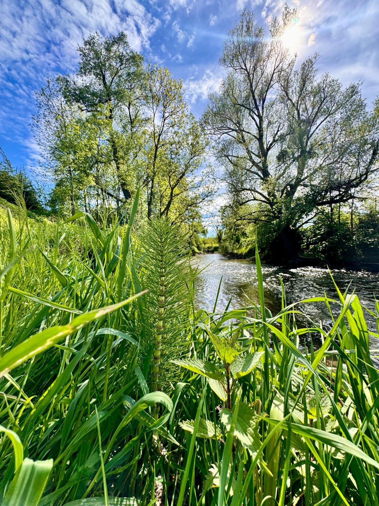 Am Flussgarten Eriskirch Esterno foto